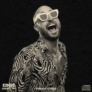 Dance Vibes (feat. FISHER) playlist cover