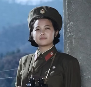 North Korean mix  — cover art