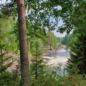 Integration of music — cover art