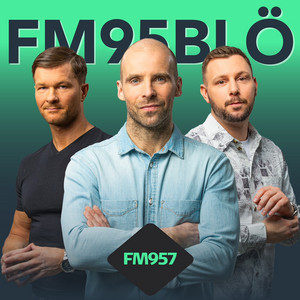 FM95BLÖ — cover art