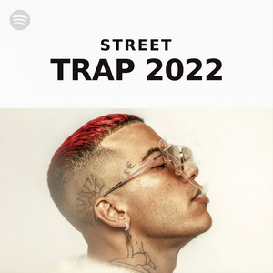 Street Trap cover