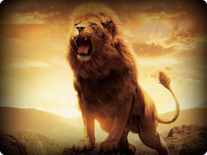 Concious Reggae/Lover's Rock
