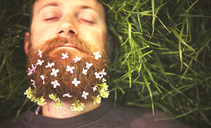 😴 Hipster Lullabyes playlist cover