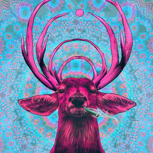 Feeling High | Spotify Playlist