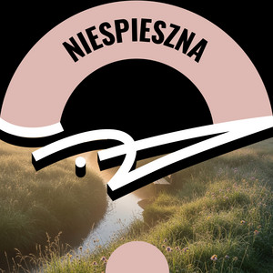 niespieszna