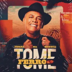 Imagem de Ferro na Boneca