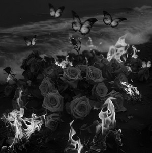 Salima’s playlist. — cover art