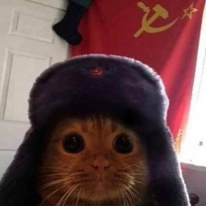 lUSAkhEDMpuryan