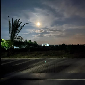 Stabilize  — cover art