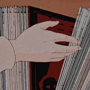 Lofi Flip cover