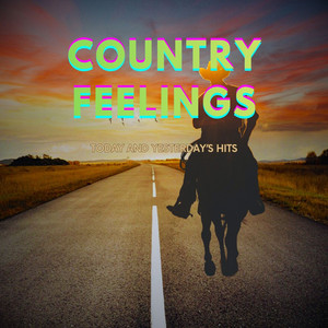 Country Feelings: Songs That Make You Think cover