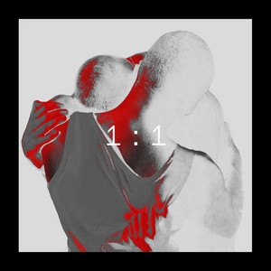 1:1