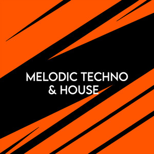 Melodic Techo & House Music Official Playlist 🌅 Sunset Sessions 2026 playlist cover