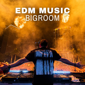 EDM Music  🔥 Bigroom playlist cover