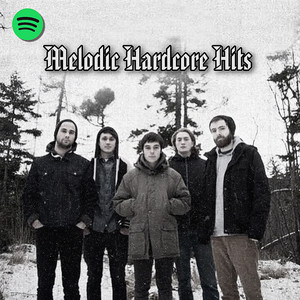 Melodic Hardcore Hits cover