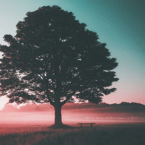 Calm Streaming, Vol. 2 - playlist by Ryan F. | Spotify