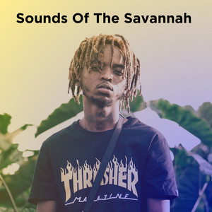 Sounds Of The Savannah