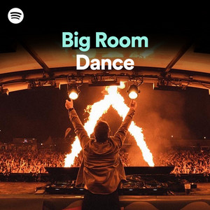 Big Room Dance cover