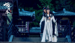 陈情令(The Untamed) OST 2019 and more - 肖战& 王一博(Xiao Zhan