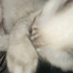 jiranhits — cover art