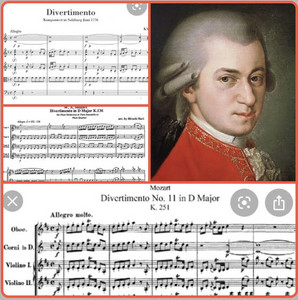 Mozart : Divertimenti