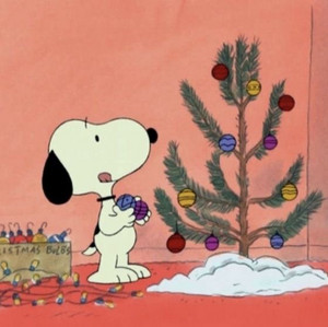 happy holiday’s 🎄