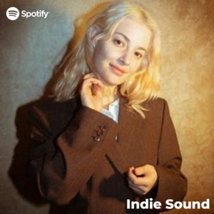 Indie Sound Spotify playlist cover art