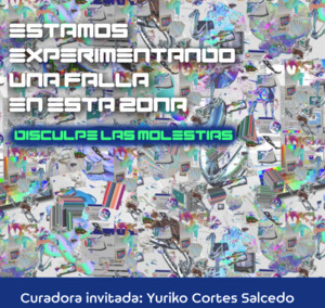 Estamos experimentando una falla en esta zona. Disculpe las ...