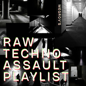 RAW TECHNO ASSAULT cover