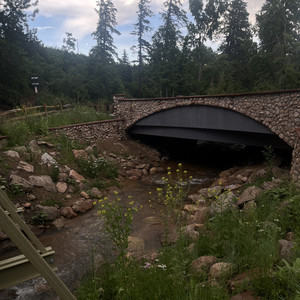 Mini’s playlist  — cover art