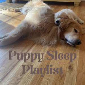 Puppy Sleep Playlist | Crate Training cover