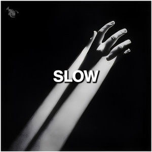 SLOW: Downtempo Techno cover