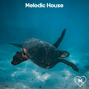 Melodic House by M. Rcrds cover