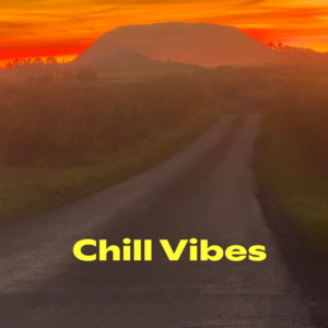 Chill  Vibes cover