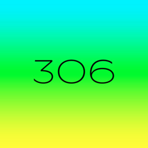 306 (02/23/26)