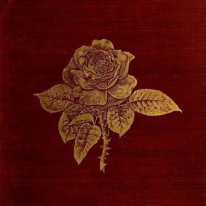 Poison - playlist by rain | Spotify