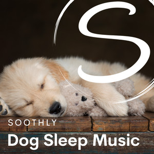 Dog Sleep Music - playlist by Soothly | Spotify