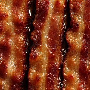 Perreo tan puerco que huele a tocino playlist cover