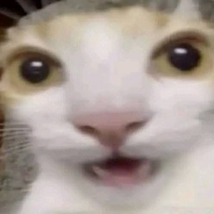 Những bài hát huyền thoại 🎶 — cover art