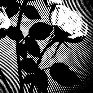Will you find me? cover