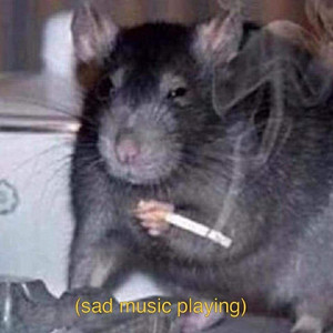 rat smoking cigarette rat smoking cigarette - playlist by hazelmidnight