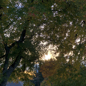 рџќ Spring рџњ Playlist By Page Spotify