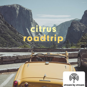 🌱Citrus Roadtrip cover