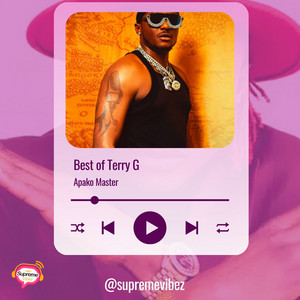 Best of Terry G playlist cover