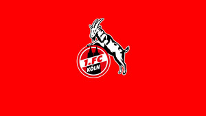 1.fc köln wimpel ⚪️ pennant / fanion