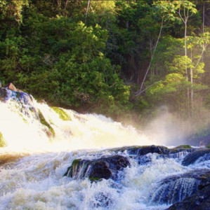 Party from abroad — cover art