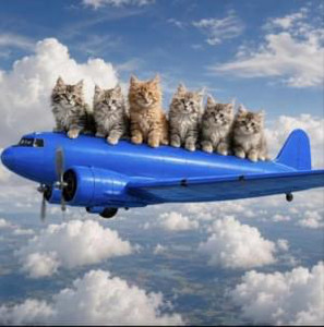 Даже даже (Even even) Aviasales Даже-даже писька на морозе здесь Больше, чем цена билета на Авиасейл