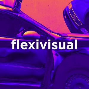 flexivisual.