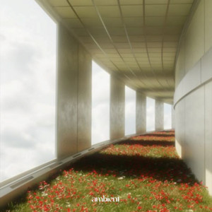 ambient ݁₊ ⊹ . ݁˖