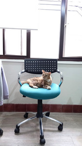 Bon Bonрџ є Playlist By Vap Spotify